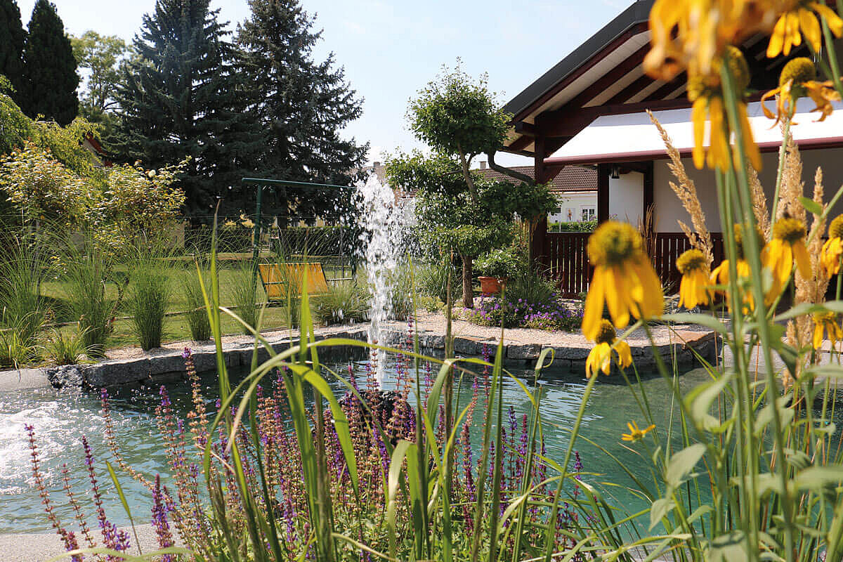 Biodesignpool Naturpool