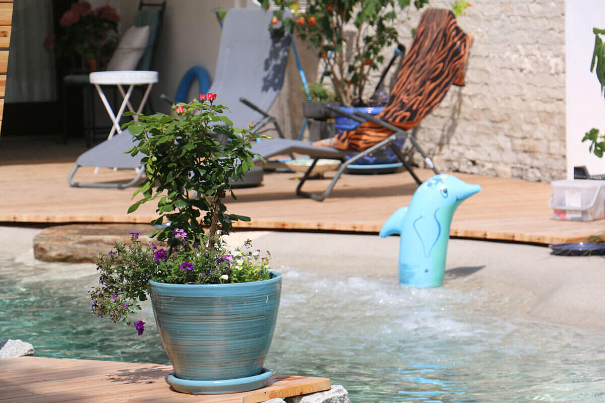 Biodesignpool Naturpool