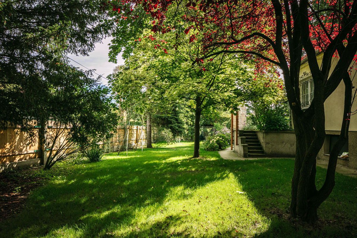 Gärten vom Baumdenker und Gartengestalter