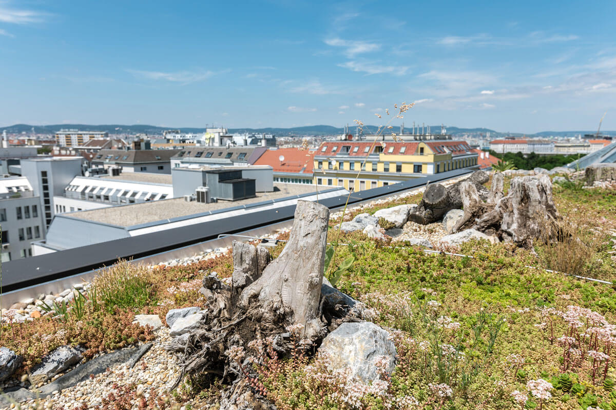 Dachgärten